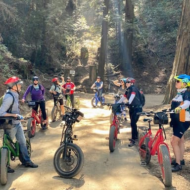 Old Coast Road eBike Tour