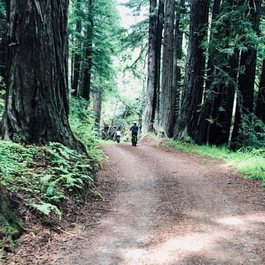 Old Coast Road eBike Tour
