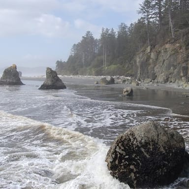 Olympic National Park Tour