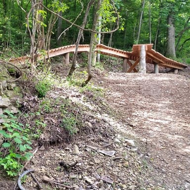 Full Day Mountain Biking Lesson