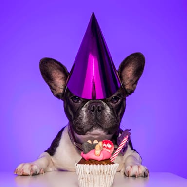 Venture Studios Custom Photoshoot Experience with Image and Frame