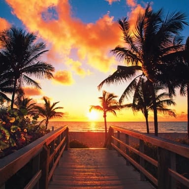 Key West Day Trip with Exciting Parasail Ride