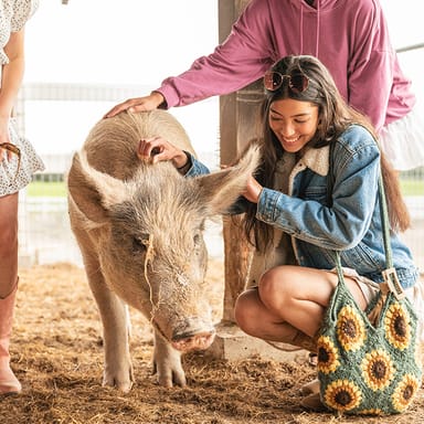 Private Tour of Charlie's Acres Farm Animal Sanctuary