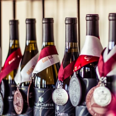 Wine Education Experience with Tasting and Picnic