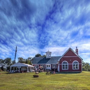 Wine Education Experience with Tasting and Picnic