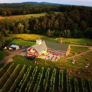 Wine Education Experience with Tasting and Picnic