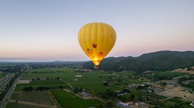 Napa Valley Hot Air Balloon Ride Plus Wine and Bites for Two at Artesa Vineyards & Winery