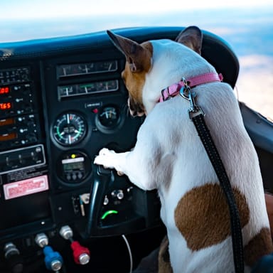 Reflection Canyon Plane Tour