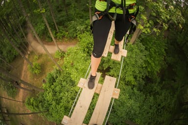 Go Ape Aerial Adventure Course