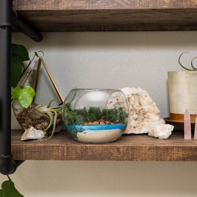 Plant Lover’s At-Home Craft Kit Bundle