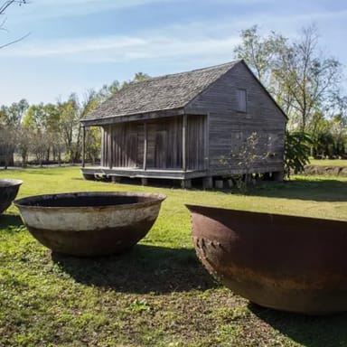 Manchac Swamp Kayak and Whitney Plantation Tour