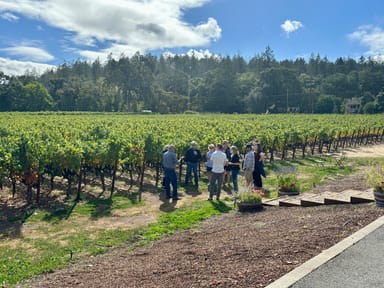 Napa’s Hidden Gems: Small Group Winery Tour for Two with Lunch
