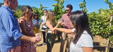 Sonoma’s Hidden Gems: Small Group Winery Tour for Two with Lunch