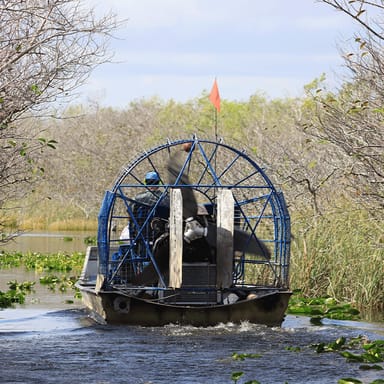 Private Everglades Airboat Tour - 60 minutes