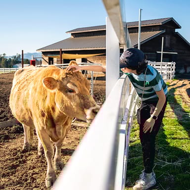 Private Tour of Charlie's Acres Farm Animal Sanctuary