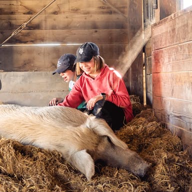 Private Tour of Charlie's Acres Farm Animal Sanctuary