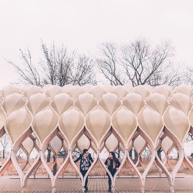 Professional Photoshoot and Lincoln Park Mystery Picnic for Two