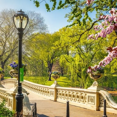 Museum Mile Outdoor Treasure Hunt