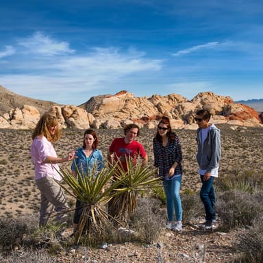 Scenic Red Rock Canyon Driving Tour and Nature Walk