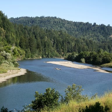 California Redwoods and Wineries Tour