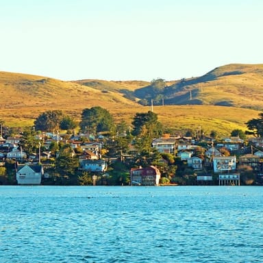 Redwoods, California Coast, and Sausalito Tour