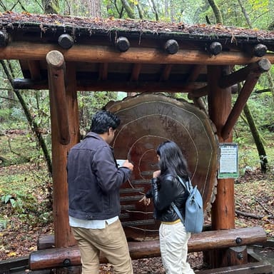 Redwoods & Wine Country Tour