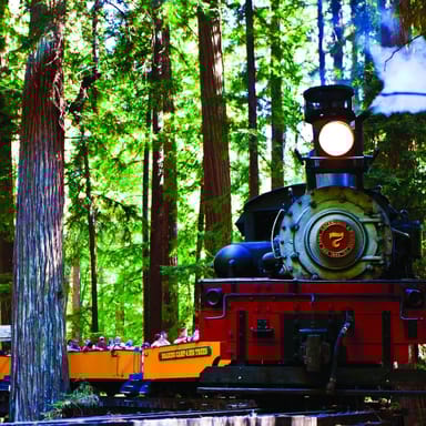 Redwood Forest Steam Train Ride