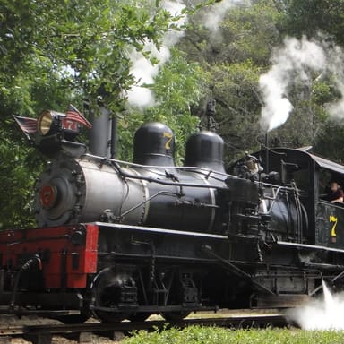 Redwood Forest Steam Train Ride