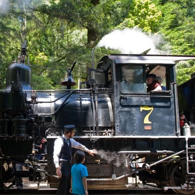 Redwood Forest Steam Train Ride