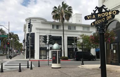 Tour of Hollywood with LA Beaches