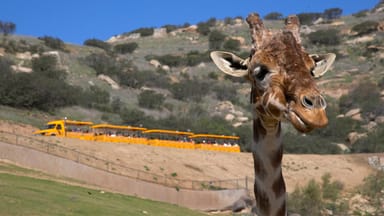 Go City | San Diego Essentials Pass - 3 Attractions