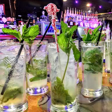 South Beach Salsa Lesson with Appetizers and Refreshing Mojitos