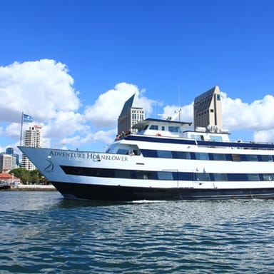 San Diego Whale Watching Cruise