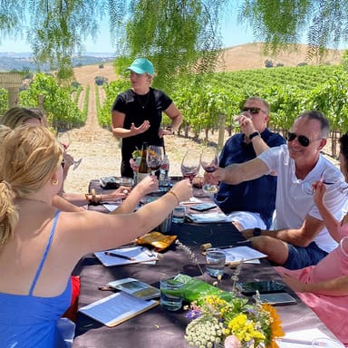 Santa Barbara Wine Tour and Tastings with a Gourmet Picnic