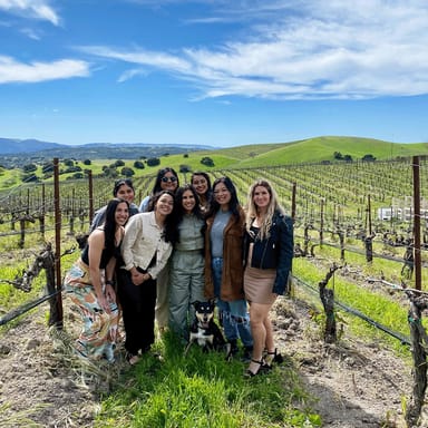 Santa Barbara Wine Tour and Tastings with a Gourmet Picnic