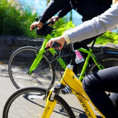 Best of Santa Monica Bike Tour