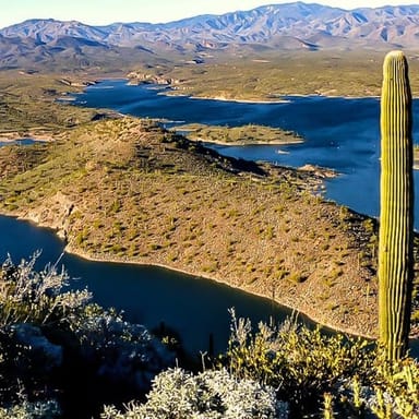 Scenic Helicopter Tour