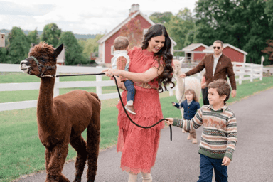 Alpaca Walk and Farm Tour in New Jersey