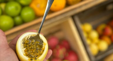 Fresh Fruit and Kombucha Tasting and Farm Experience