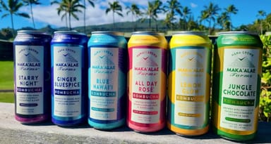 Fresh Fruit and Kombucha Tasting and Farm Experience