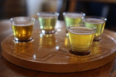 The Sips of Salt Lake City: Craft Brewery Tour with Tastings