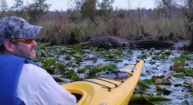 Alligator Kayak Tour Near Orlando