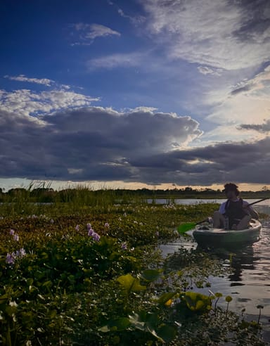 Mullet Lake Sunset Kayak Tour Near Orlando