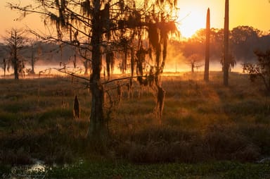 Mullet Lake Sunset Kayak Tour Near Orlando