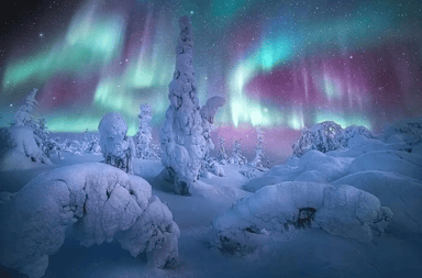 All-Inclusive Northern Lights and Arctic Circle Tour