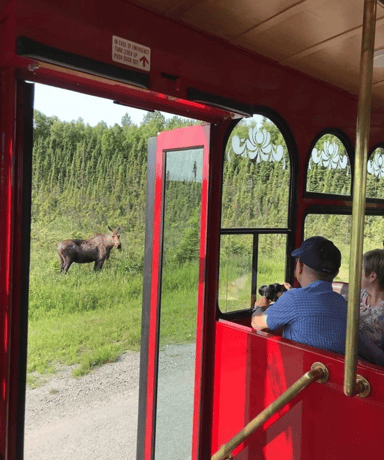 1-Hour Trolley Tour