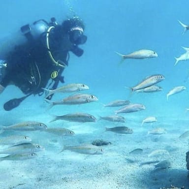 Introductory Scuba Lesson