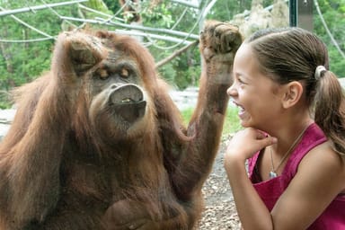 Go City | San Diego Essentials Pass - 3 Attractions