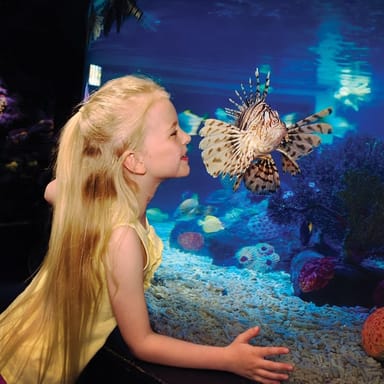 LEGOLAND® California Resort, SEA LIFE Aquarium, and Water Park 2-Day Admission