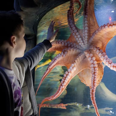 SEA LIFE New Jersey Aquarium Admission